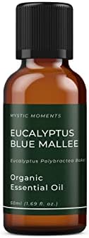 רגעים מיסטיים | אקליפטוס כחול מאלי שמן אתרי אורגני - 50 מל - טהור